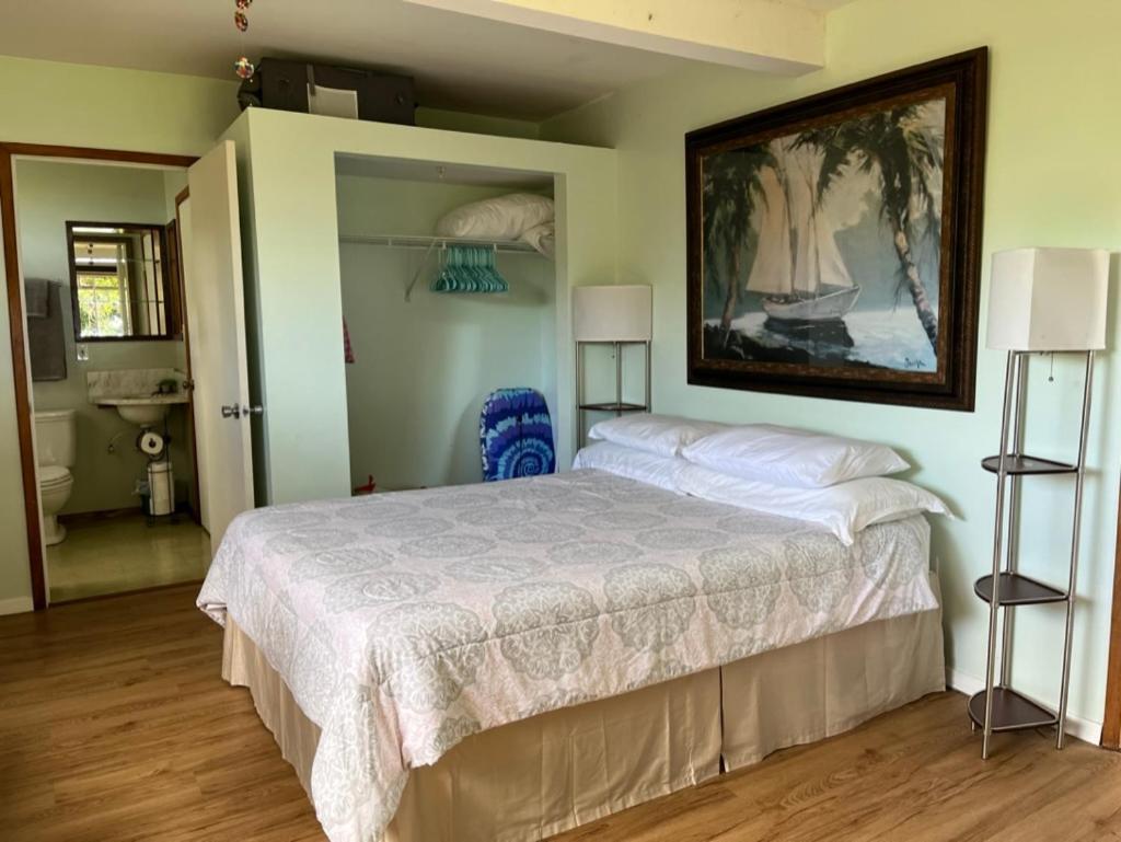 Waipio Studio Apartment Kukuihaele エクステリア 写真